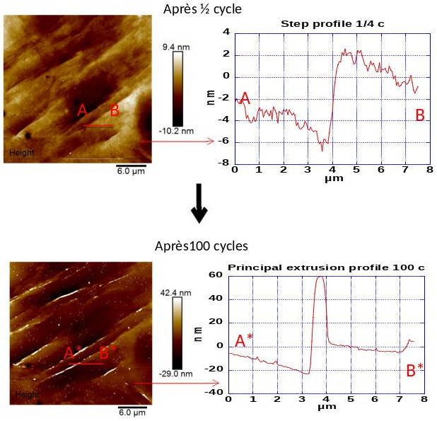 Evolution of the shape and height of a slip mark with fatigue cycles – AFM Image