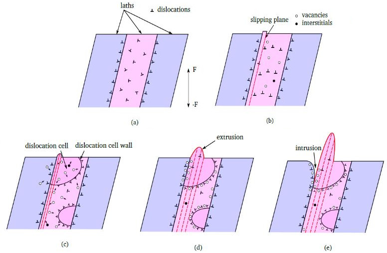 Formation mechanism of extrusion and of intrusion in a 12 Cr martensitic steel