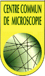 Plateforme de Microscopie Électronique de Lille