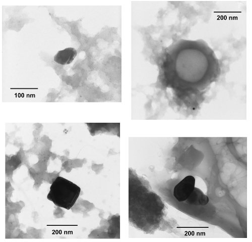 Images en microscopie électronique en transmission de minéraux condensés à partir de vapeurs et découverts dans les météorites Orgueil et Murchison. C'est parmi ces grains, 1000 fois plus petits qu'un cheveux, qu'ont été identifiées les poussières formées, il y a plus de 4,5 milliards d'années, par une supernova. © UMET (CNRS-Université de Lille 1)