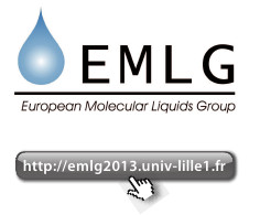 EMLG - JMLG annual meeting 2013 - Global perspectives on the structure and dynamics of liquids and mixtures: Experiment and simulation