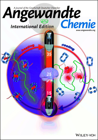 La couverture de Angewandte Chemie avec les travaux de l'UMET.