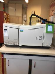 Gas Chromatography / Mass Spectroscopy