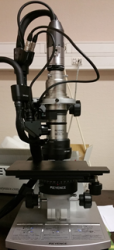 3D optical microscope (Keyence)