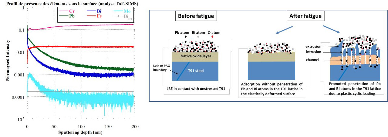 Analyses au ToF-SIMS de la surface d’une éprouvette de fatigue après essais en Pb-Bi liquide. Les analyses révèlent la présence d’oxyde en surface (Pb, Bi, Fe, Cr, Mo), mais surtout la présence de Pb et Bi en sous surface, lorsque le matériau a été déformé plastiquement.
 Proiol Serre I. Vogt J-B., Nuns N., ToF-SIMS investigation of absorption of lead and bismuth in T91 steel deformed in liquid lead bismuth eutectic, Applied Surface Science 471, pp 36-42, 2019, [doi: 10.1016/j.apsusc.2018.11.209].