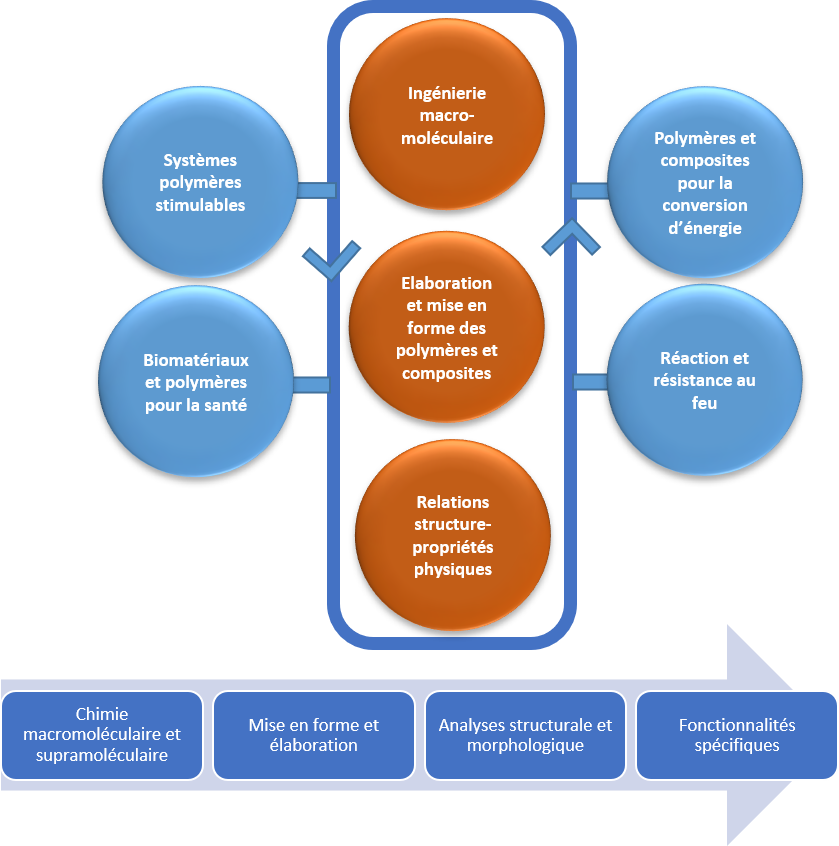 Structuration de l’équipe Ingénierie des Systèmes Polymères (ISP)