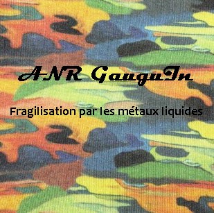 ANR GauguIn